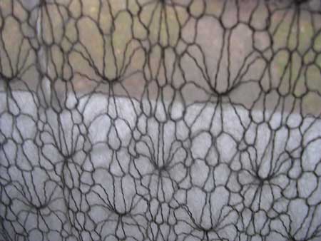 stery lace